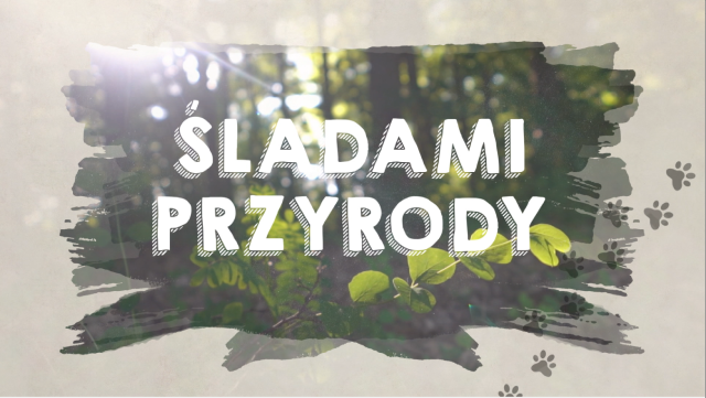 Śladami Przyrody